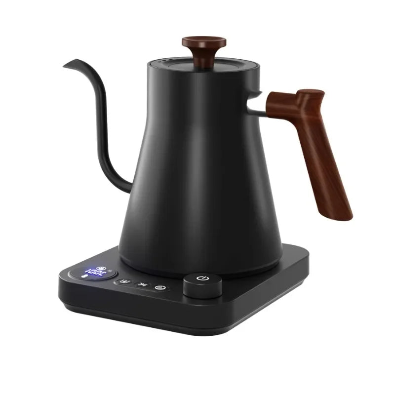 Smart Electric Gooseneck Kettle
